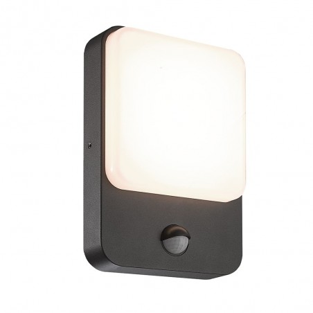Outdoor LED Wall Lamp with sensor Sun (8W)