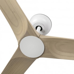 Ceiling Fan Heywood S White