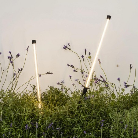 Outdoor LED Bollard Spike Lamp Bambou II (8W)