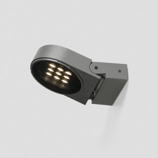 Outdoor LED Wall Lamp Muur (29W)