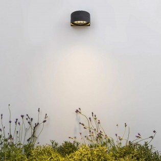 Outdoor LED Wall Lamp Muur (29W)
