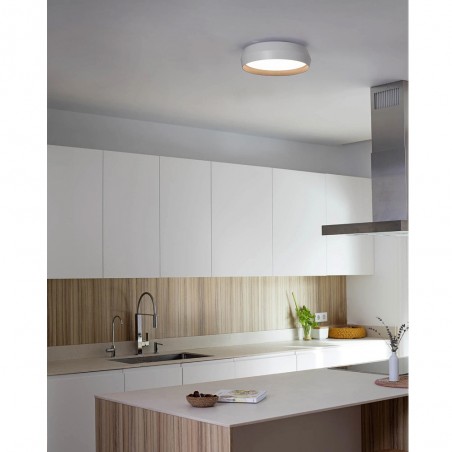 LED Ceiling Flush Light Shoku II (24W)
