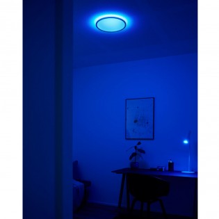 LED Ceiling Flush Light Liva Smart (21W)