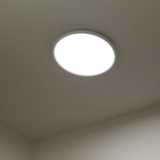 LED Ceiling Flush Light Liva Smart (21W)
