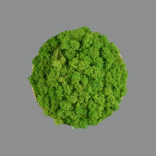 LED Wall Lamp Chamaleon Moss (10.5W)