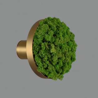 Aplique de pared LED Moss...