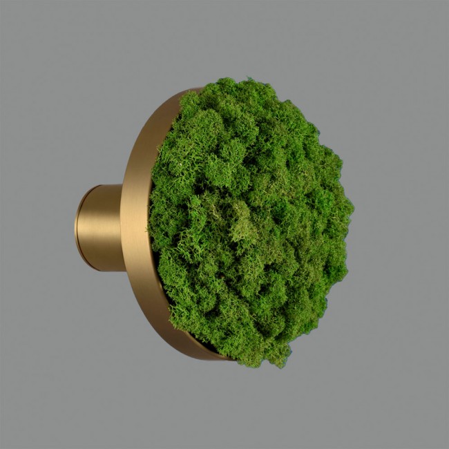 Aplique de pared LED Moss (10.5W)