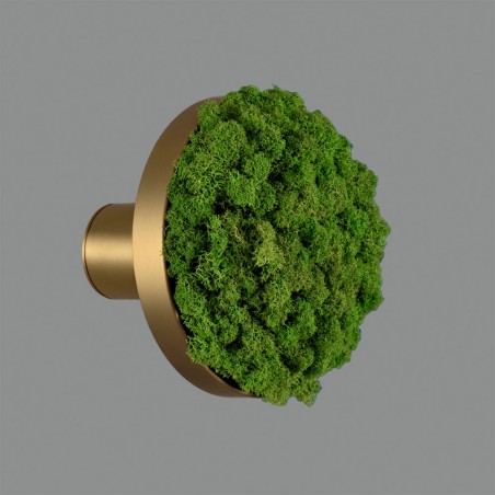 LED Wall Lamp Chamaleon Moss (10.5W)