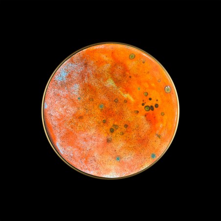 LED Wall Lamp Chamaleon Moss Ceramic (10.5W)