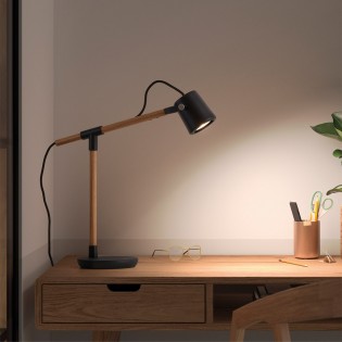 Desk Lamp Branch