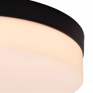 Bathroom's LED Ceiling Flush Light Biskit (12W)
