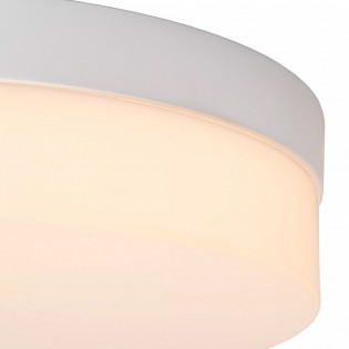 Bathroom's LED Ceiling Flush Light Biskit (24W)