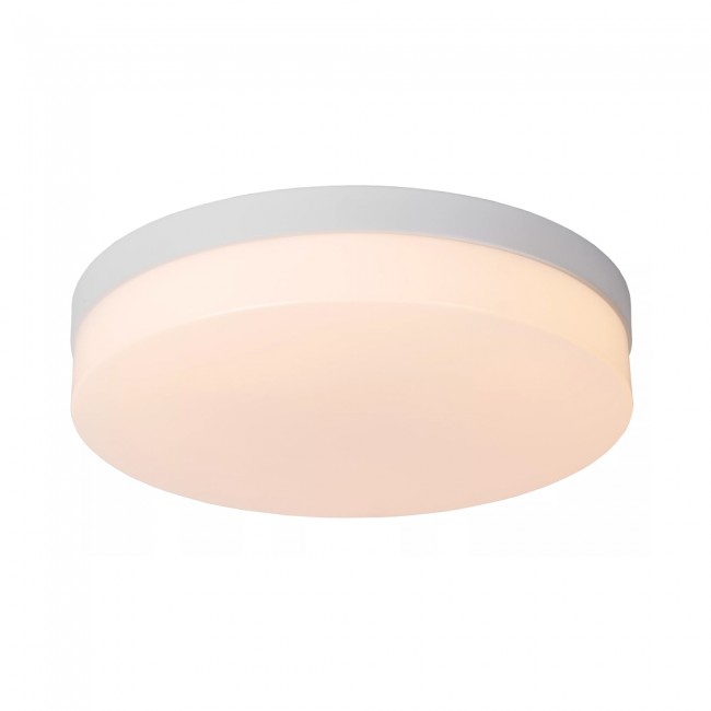 Bathroom's LED Ceiling Flush Light Biskit (24W)