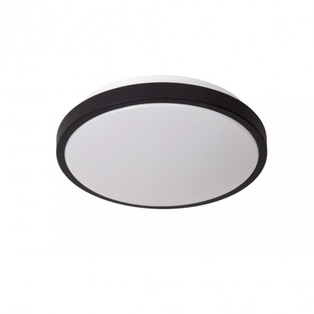 Bathroom's LED Flush Light Dasher (12W)