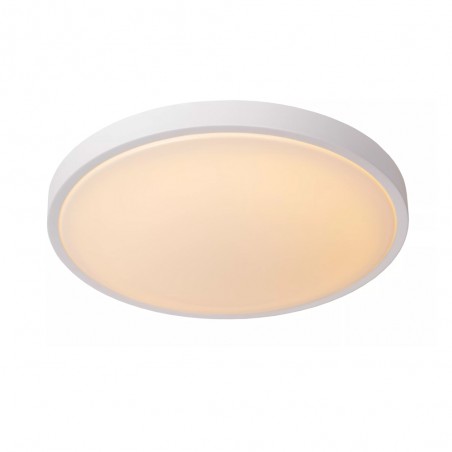 Bathroom's LED Flush Light Dasher (24W)