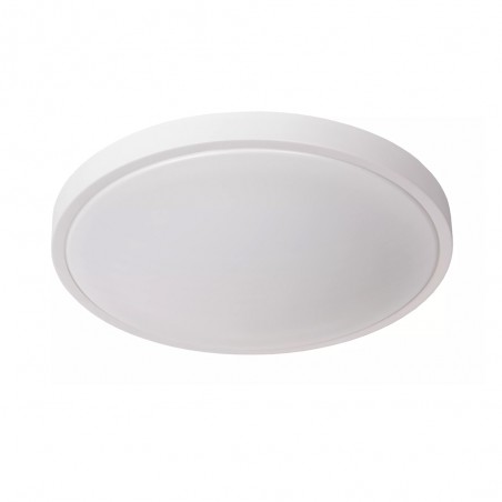 Bathroom's LED Flush Light Dasher (24W)