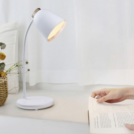 LED Desk Lamp Hadar CCT Dim (4W)