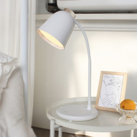 LED Desk Lamp Hadar CCT Dim (4W)
