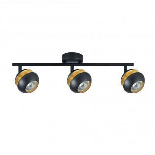 Ceiling track light...
