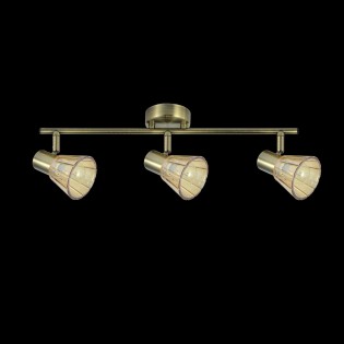 Ceiling track light Cooper (3 Lights)