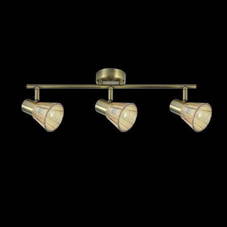 Ceiling track light Cooper (3 Lights)
