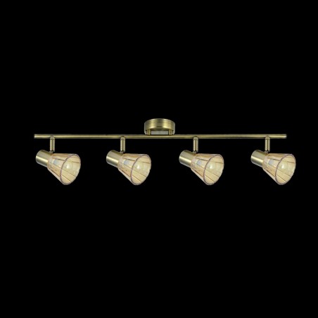 Ceiling track light Cooper (4 Lights)