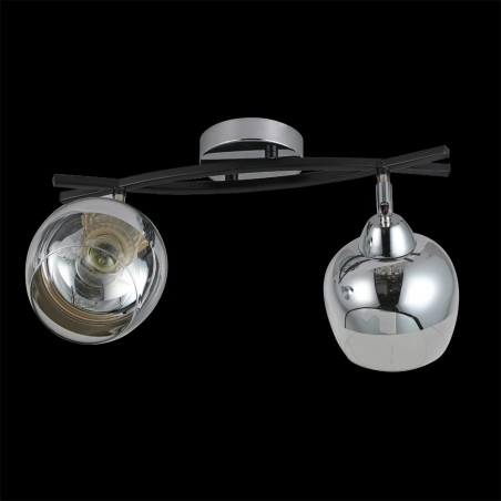 Lámpara de techo Denali (2 Luces)