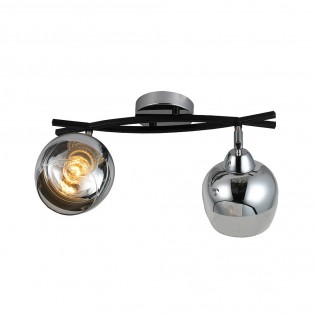 Ceiling track light Denali (2 Lights)