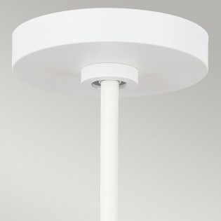 Pendant Lamp Darwin