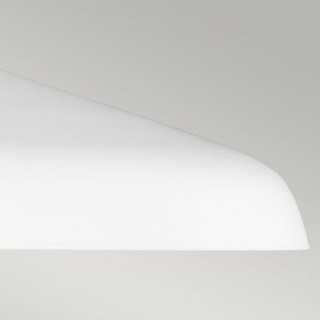 Pendant Lamp Darwin