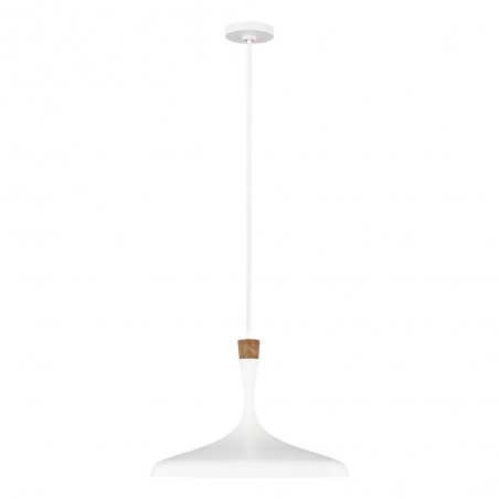 Pendant Lamp Darwin