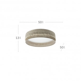 Flush light LED Ekaterina (72W)