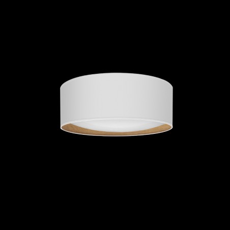 Flush light LED Tania (48W)