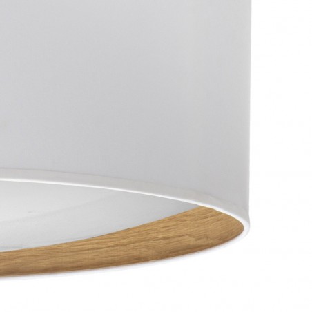 Flush light LED Tania (48W)