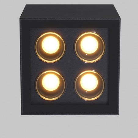 Plafón de techo exterior LED Ares (4x2W)
