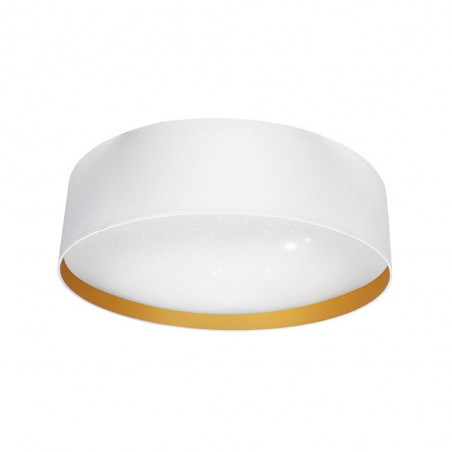 Flush light LED Anuska (96W)