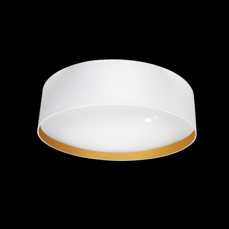 Flush light LED Anuska (96W)