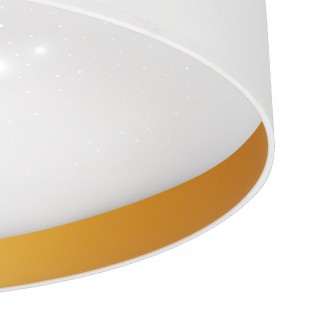 Flush light LED Anuska (96W)