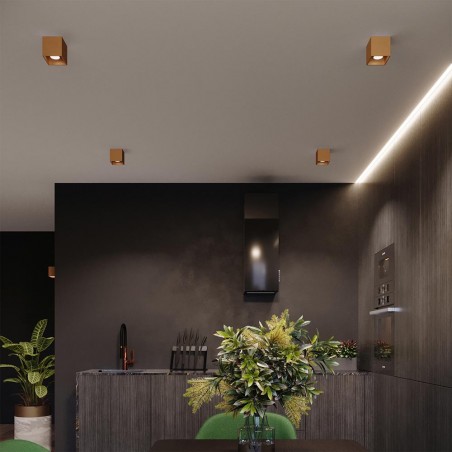 Ceiling spotlight Quad