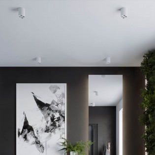 Ceiling spotlight LED Zoe (9W)