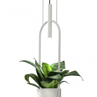 Oxygen LED-Deckenleuchte (3W)