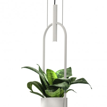 Oxygen LED-Deckenleuchte (3W)