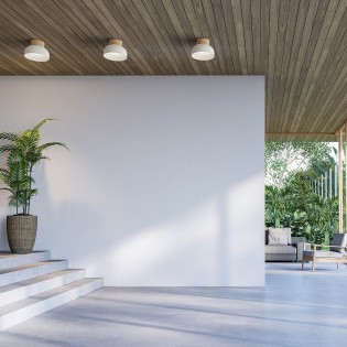 Ceiling Flush Light Reiko