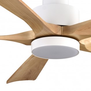 Ventilador de techo LED Cairo Haya CCT (24W)