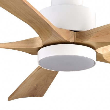 Ventilador de techo LED Cairo Haya CCT (24W)