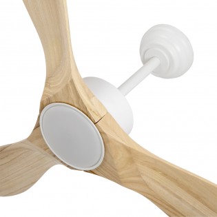 LED Ceiling Fan Segre CCT Dim (24W)