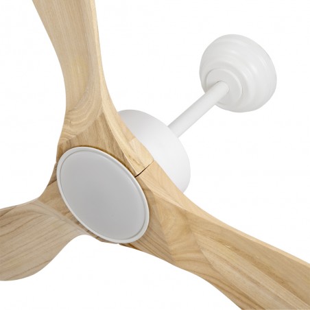 LED Ceiling Fan Segre CCT Dim (24W)
