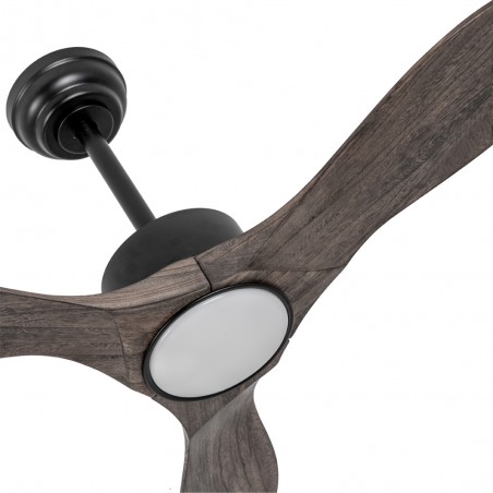 LED Ceiling Fan Segre CCT Dim (24W)