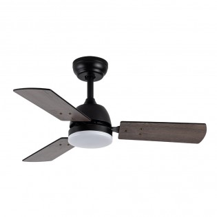 LED fan with reversible...