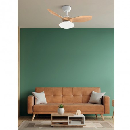 LED Ceiling Fan Paramo CCT (36W)